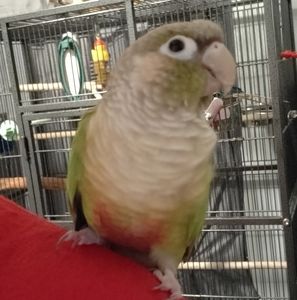 Meet your Posher, Vernon